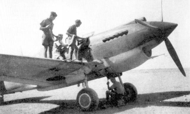 Curtiss P-40 часть 3 pic_95.jpg
