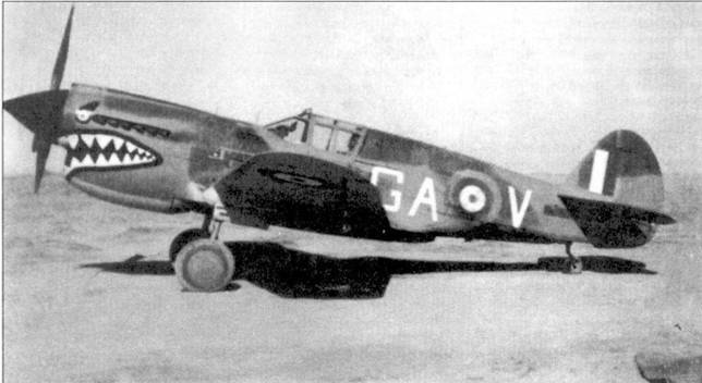 Curtiss P-40 часть 3 pic_101.jpg