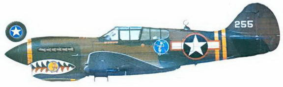 Curtiss P-40 часть 3 pic_118.jpg