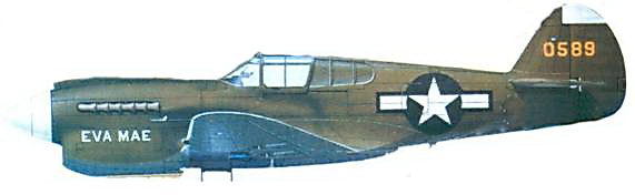 Curtiss P-40 часть 3 pic_120.jpg