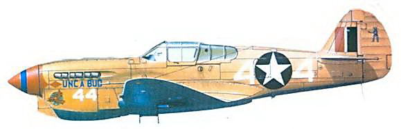 Curtiss P-40 часть 3 pic_121.jpg