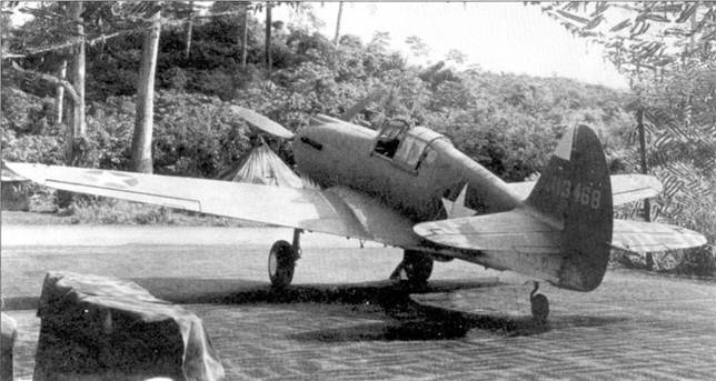 Curtiss P-40 часть 3 pic_20.jpg