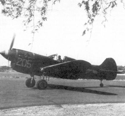 Curtiss P-40 часть 3 pic_23.jpg