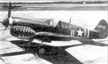 Curtiss P-40 часть 3 pic_29.jpg