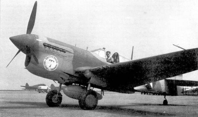 Curtiss P-40 Часть 2 pic_6.jpg