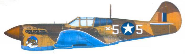 Curtiss P-40 Часть 2 pic_144.jpg