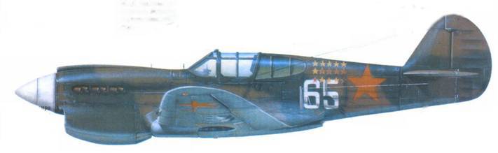 Curtiss P-40 Часть 2 pic_149.jpg