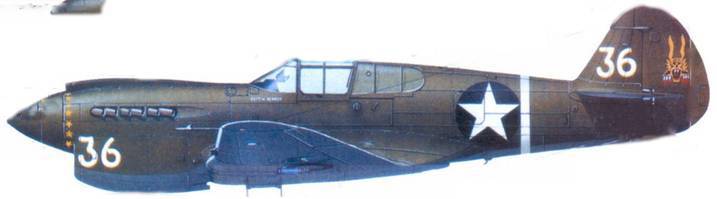 Curtiss P-40 Часть 2 pic_156.jpg