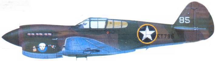 Curtiss P-40 Часть 2 pic_157.jpg