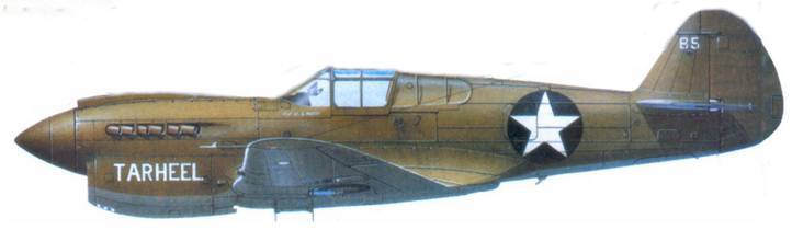 Curtiss P-40 Часть 2 pic_158.jpg