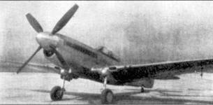 Curtiss P-40 Часть 2 pic_34.jpg