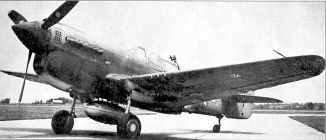 Curtiss P-40 Часть 2 pic_44.jpg