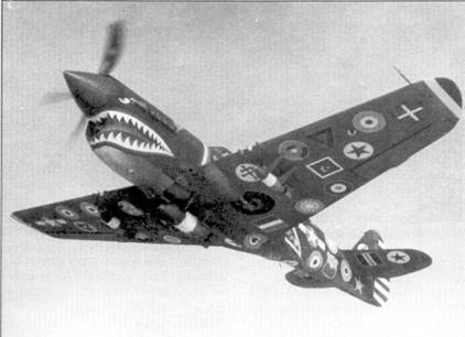 Curtiss P-40 Часть 2 pic_49.jpg