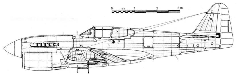 Curtiss P-40 Часть 2 pic_83.jpg