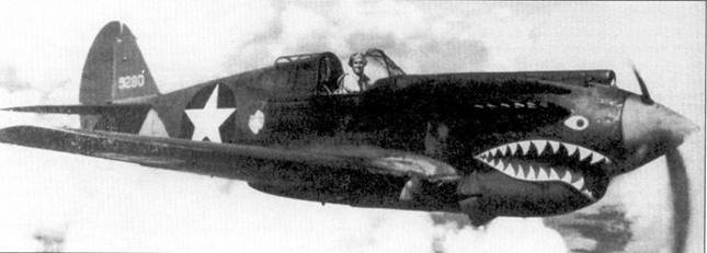 Curtiss P-40 Часть 1 pic_33.jpg