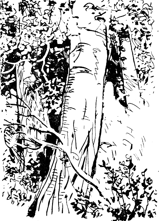 Встречи в тайге i_003.png