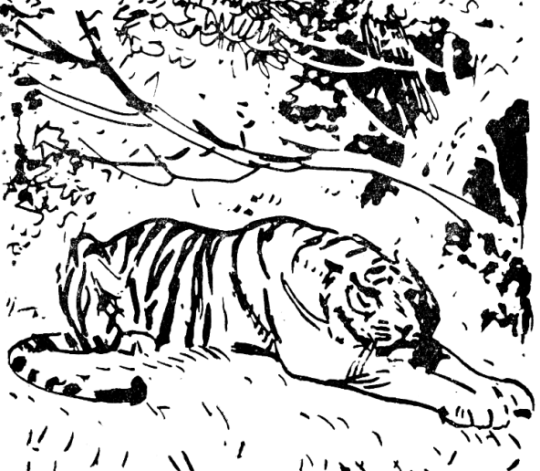 Встречи в тайге i_004.png