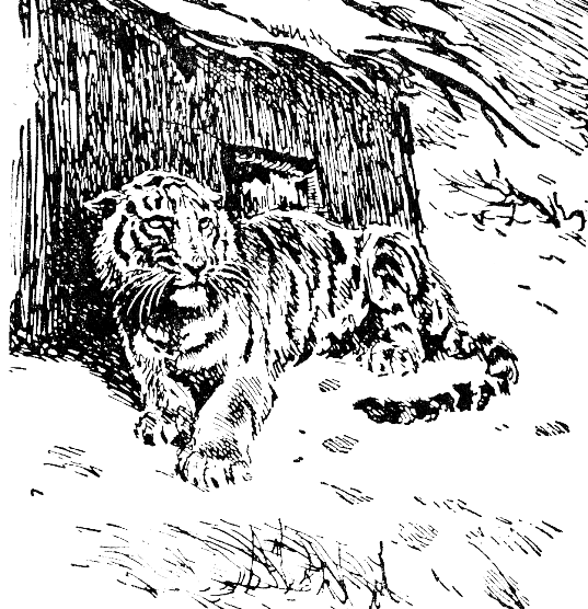 Встречи в тайге i_026.png