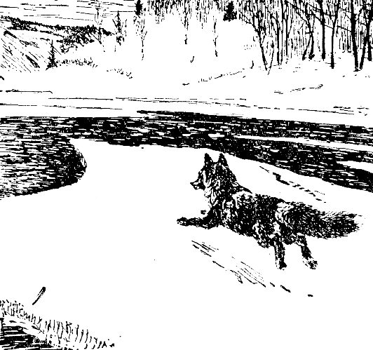 Встречи в тайге i_028.png