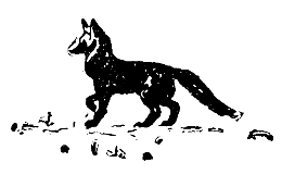 Встречи в тайге i_029.png