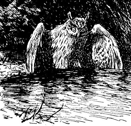 Встречи в тайге i_034.png