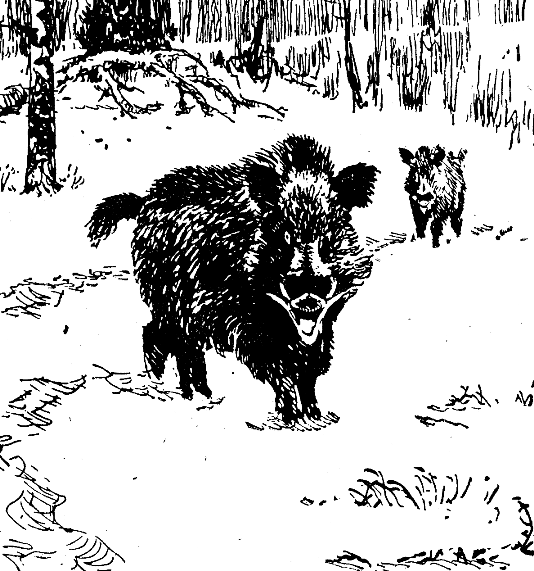 Встречи в тайге i_038.png
