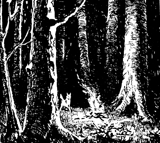 Встречи в тайге i_006.png
