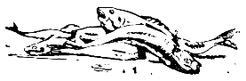 Встречи в тайге i_053.png