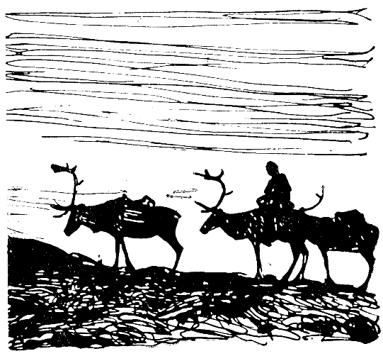 Встречи в тайге i_064.png