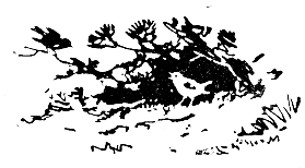 Встречи в тайге i_065.png