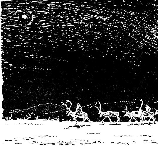 Встречи в тайге i_066.png