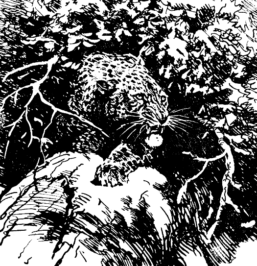 Встречи в тайге i_008.png