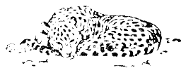 Встречи в тайге i_009.png