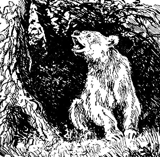 Встречи в тайге i_014.png