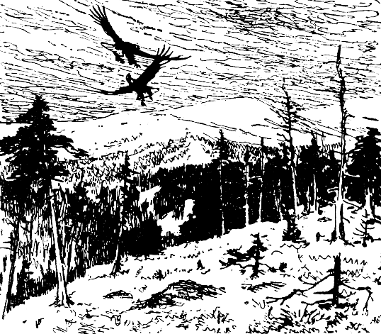 Встречи в тайге i_018.png