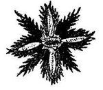 Танґо смерті i_036.jpg