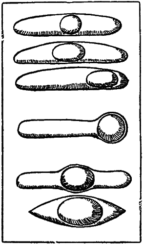Мир микробов i_020.png