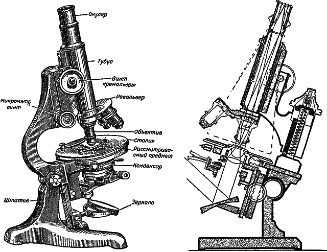 Мир микробов i_026.png