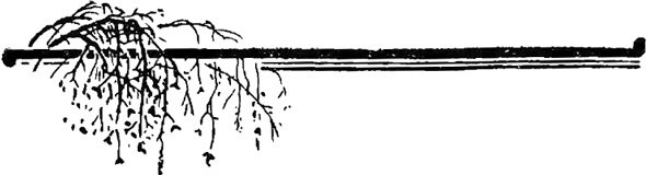 На полустанке (сборник) i_007.jpg