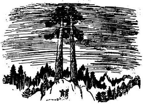 Сказки Топелиуса i_019.jpg