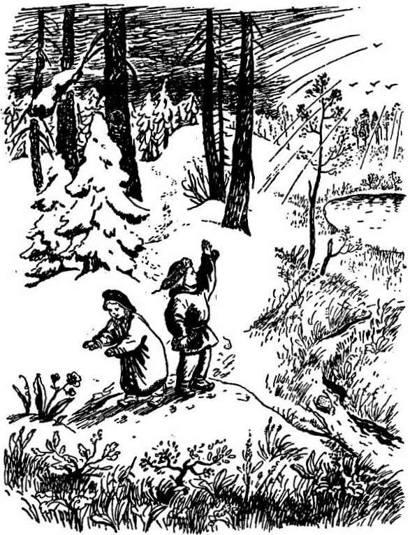 Сказки Топелиуса i_020.jpg