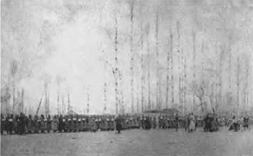 Казаки на Кавказском фронте 1914–1917 i_009.jpg