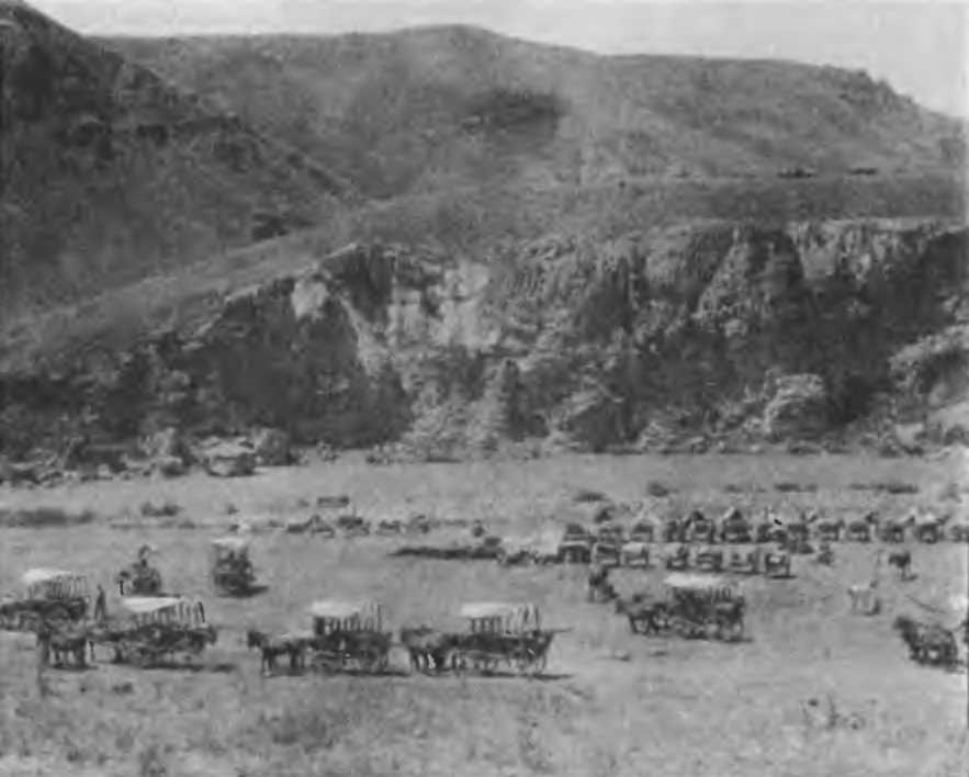 Казаки на Кавказском фронте 1914–1917 i_027.jpg