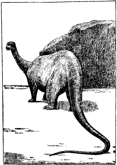 Вымершие животные nonjpegpng_pic_106.png