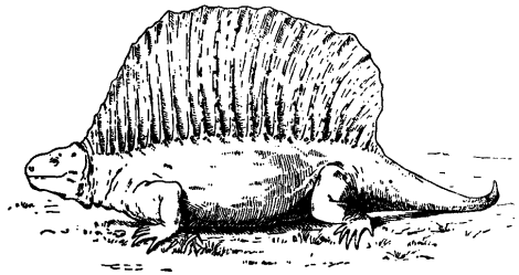 Вымершие животные nonjpegpng_pic_110.png