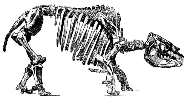 Вымершие животные nonjpegpng_pic_004.png