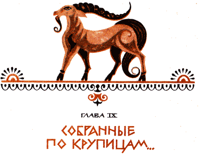 Этруски: загадка номер один i_018.png