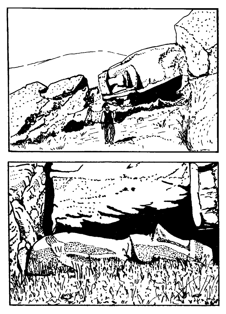 Безмолвные стражи тайн (загадки острова Пасхи) image10.png