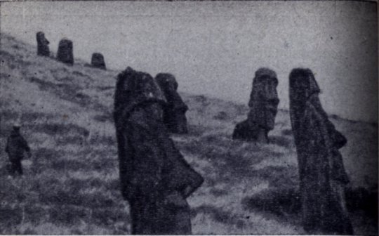 Безмолвные стражи тайн (загадки острова Пасхи) image11.jpg