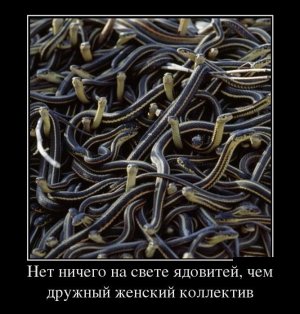Телохранитель ее величества: Точка невозврата